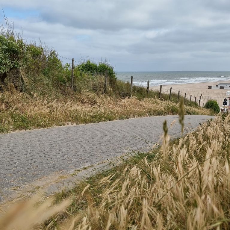 Enthousio - Momentorin Kathi Hildebrandt | Energiekörper-Harmonisierung, Wandlungsgespräche, Wandlungskunst